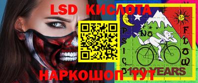 стафф Пенза
