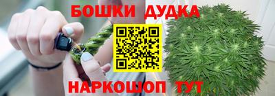 молекула духа Партизанск