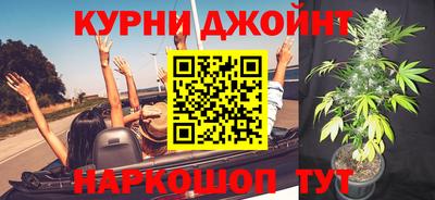 молекула духа Партизанск