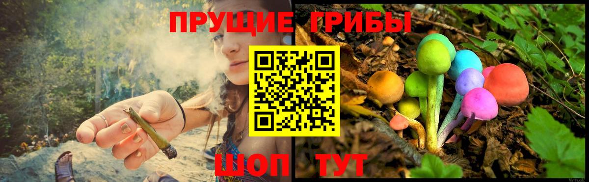 Галлюциногенные грибы мицелий Павловский Посад